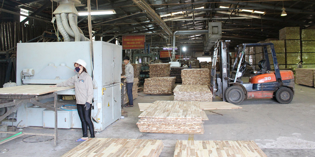Sản xuất gỗ ghép thanh tại Công ty TNHH Thanh Lâm, (xã Tân Bình, huyện Đầm Hà).