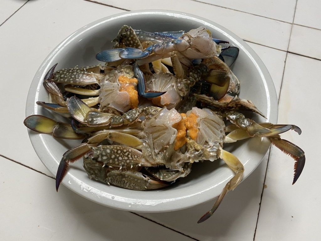 Ghẹ Trà Cổ có phần thịt chắc mẩy và nhiều trứng