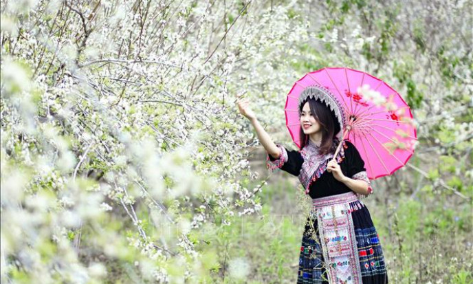 Muôn sắc hoa chào đón ngày Xuân