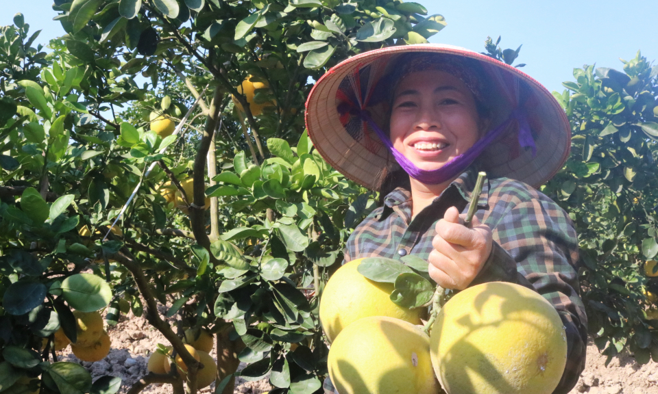 Sắc xuân nông thôn mới