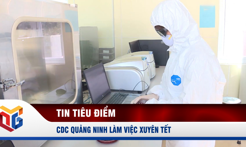 CDC Quảng Ninh làm việc xuyên Tết