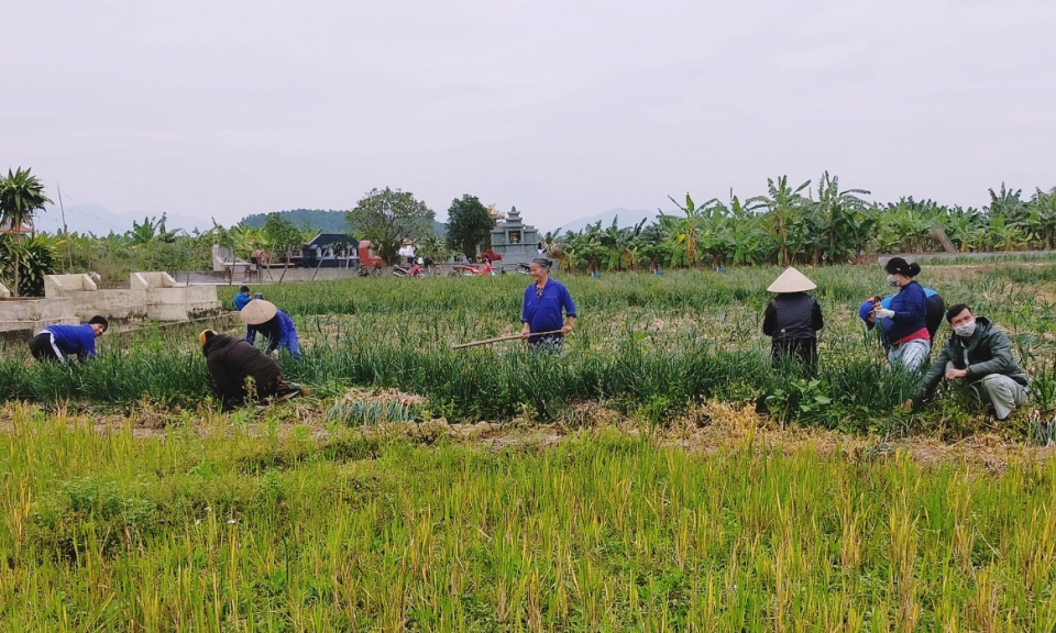 Nông dân hối hả xuống đồng ngày Xuân