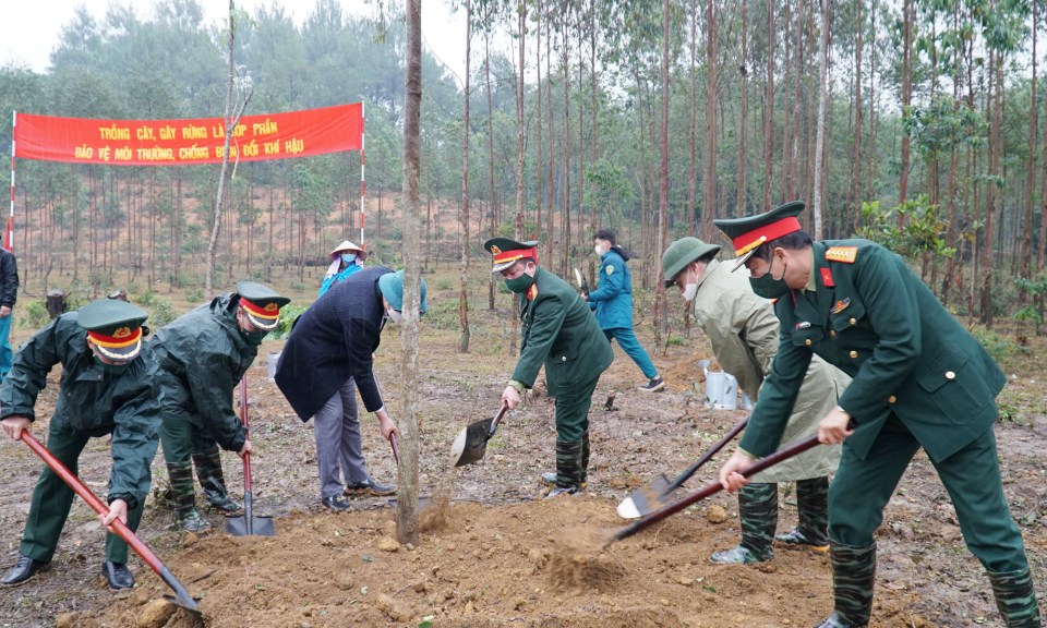 Các địa phương phát động "Tết trồng cây đời đời nhớ ơn Bác Hồ” Xuân Nhâm Dần 2022