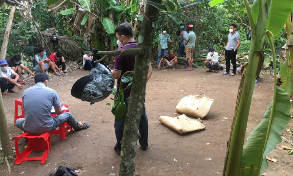 Triệt phá ổ đá gà ngày Tết