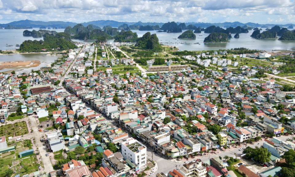 Kỳ vọng mùa xuân