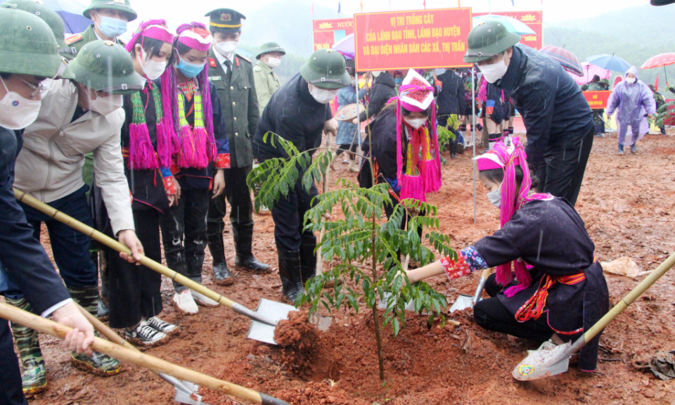 Provincial Party Secretary launches Tet tree-planting festival in Ba Che
