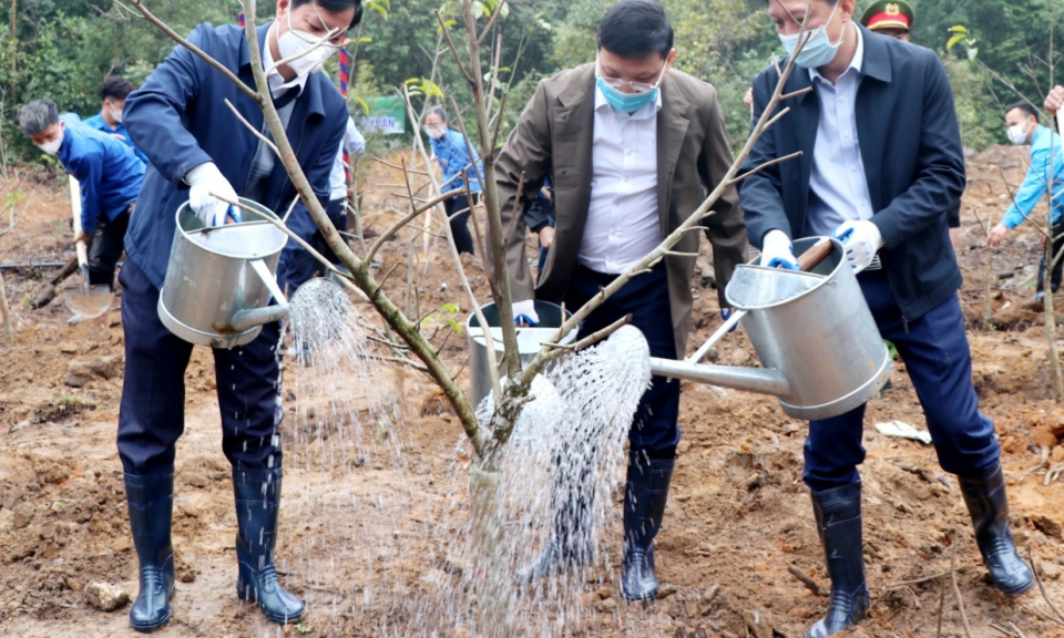 Các địa phương, đơn vị ra quân trồng cây đầu xuân