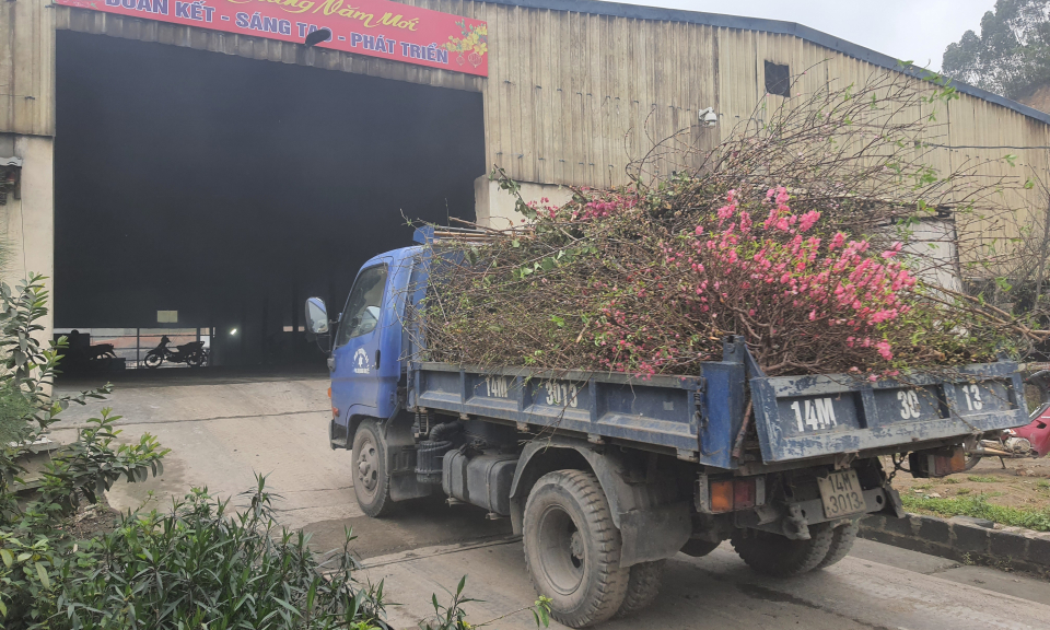 Uông Bí: Thu gom, xử lý ngay rác thải