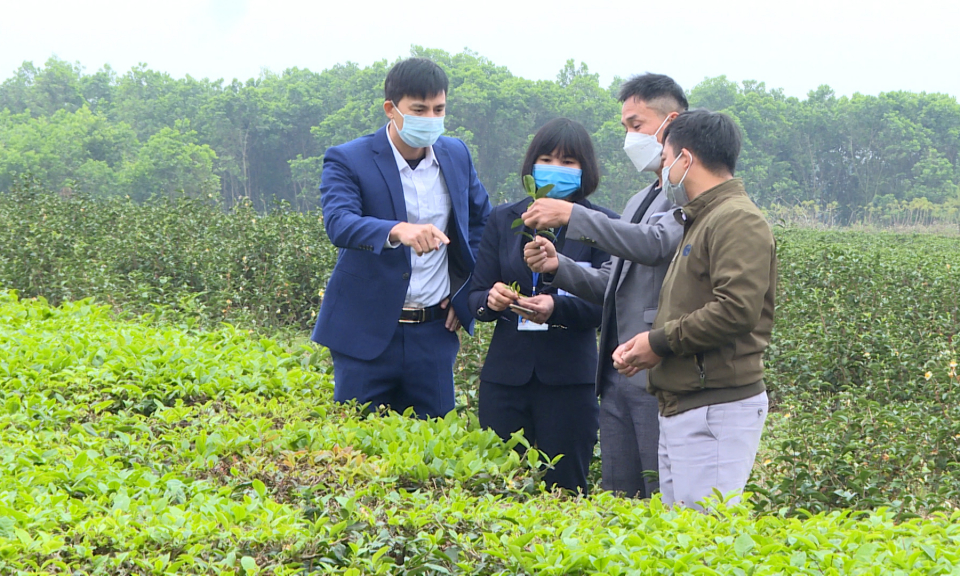 Lan tỏa niềm vui từ nông thôn mới