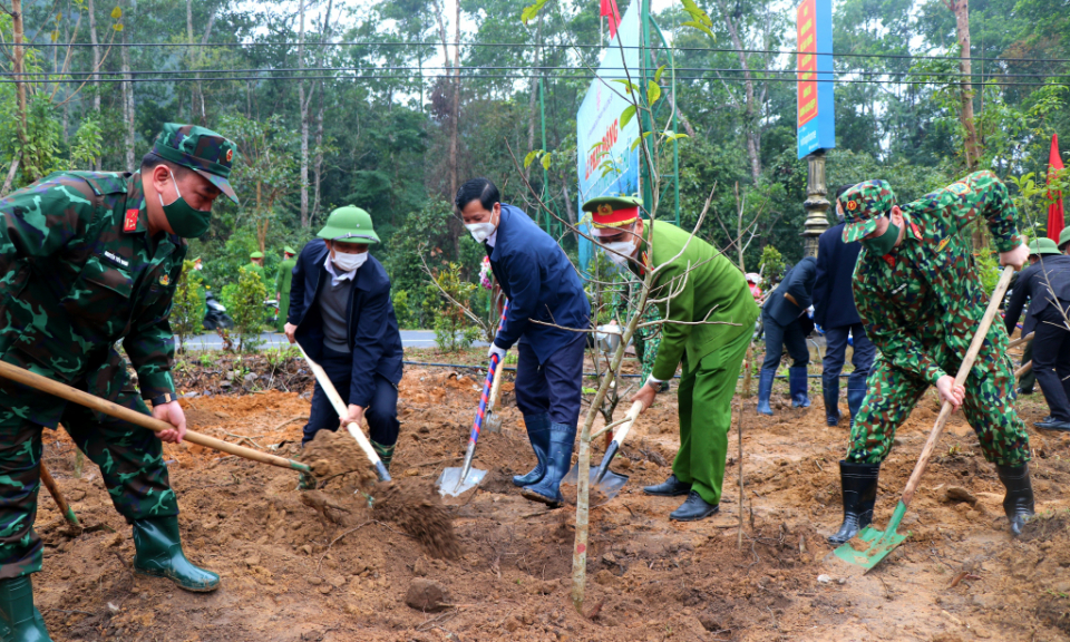 Nhân lên màu xanh cho những cánh rừng