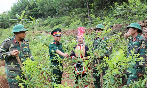 Lâm trường 156 - Điểm tựa vững chắc của đồng bào Bình Liêu