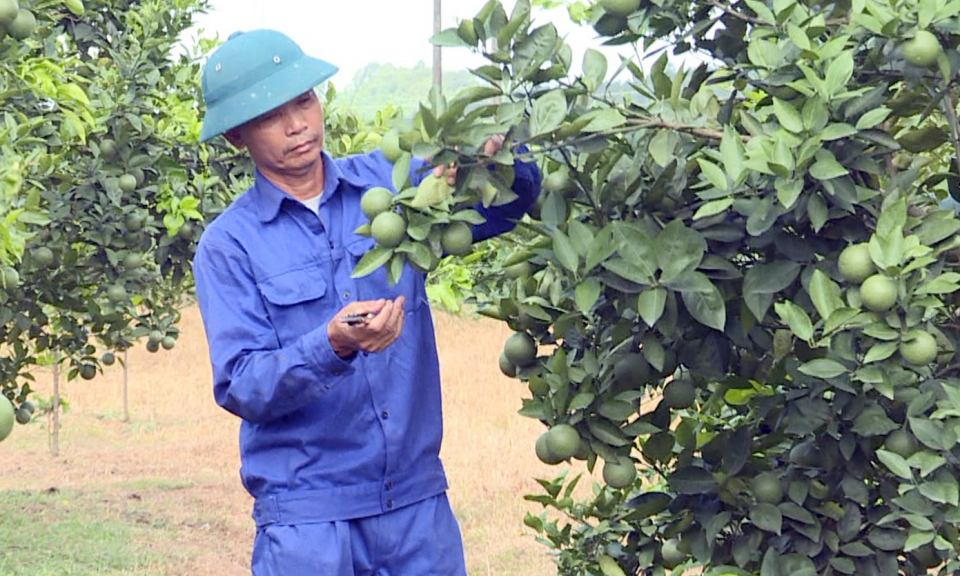 Hội CCB TP Hạ Long: Chung sức xây dựng nông thôn mới