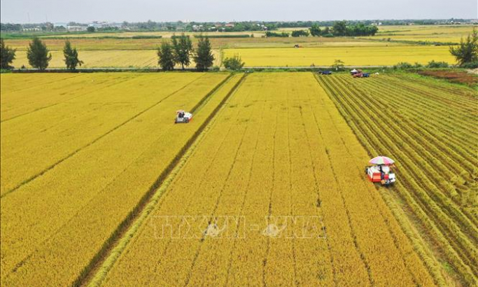 Gov't approves sustainable agricultural development strategy through 2030