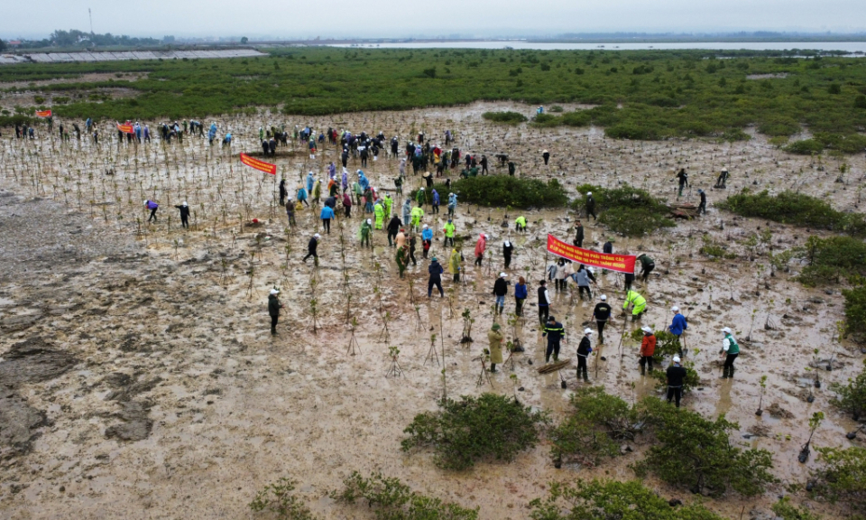 PPC Chairman Nguyen Tuong Van launches Tet tree-planting festival in Mong Cai
