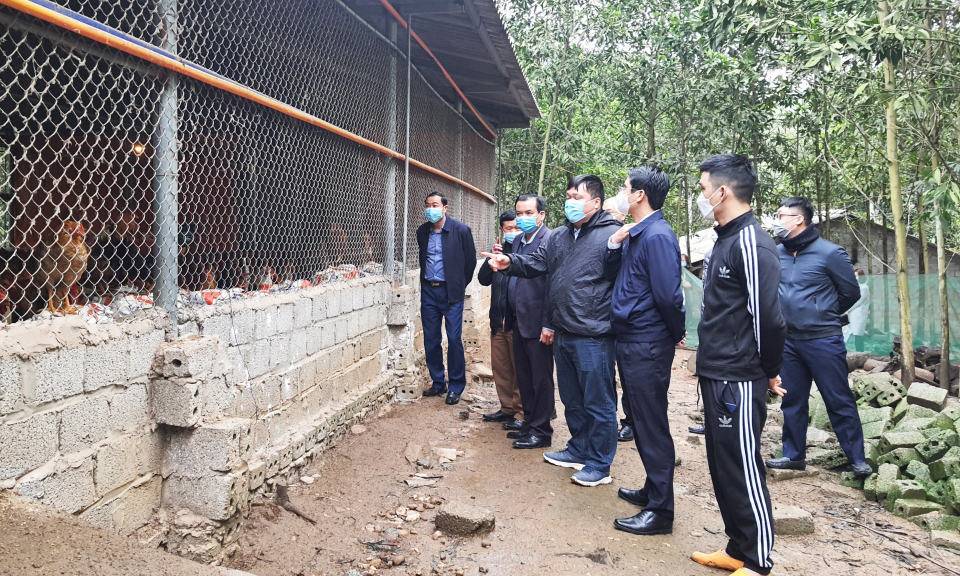 Phó Chủ tịch UBND tỉnh Phạm Văn Thành làm việc với TP Hạ Long về xây dựng nông thôn mới năm 2022