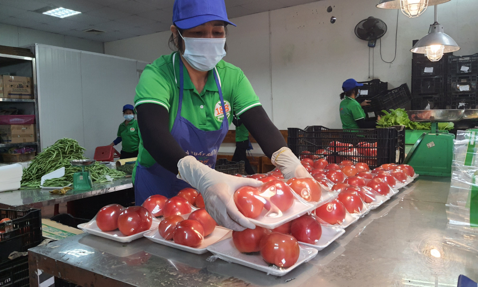 Rau thủy canh Green Farm 188