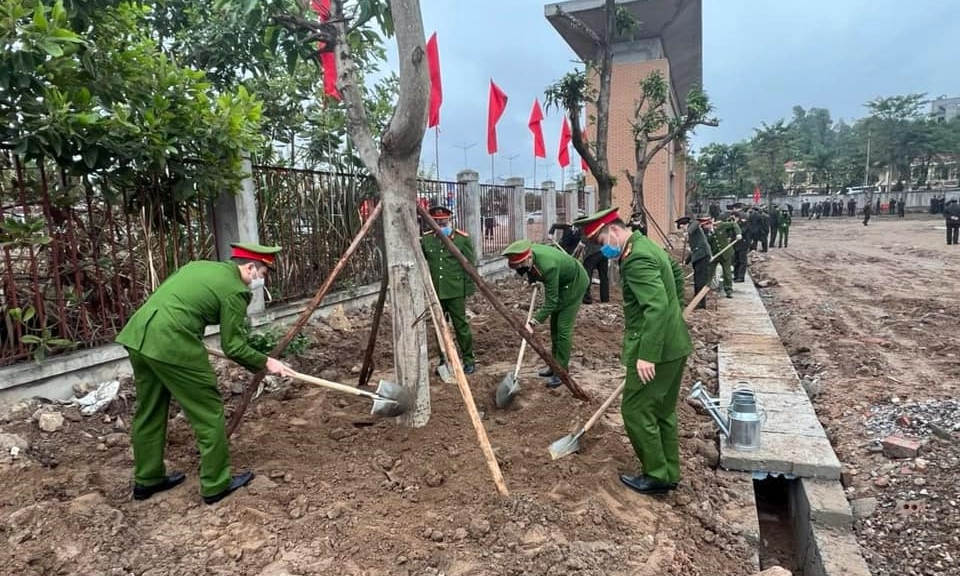 “Trồng cây gỗ lớn góp phần ổn định sinh kế bền vững cho người dân”