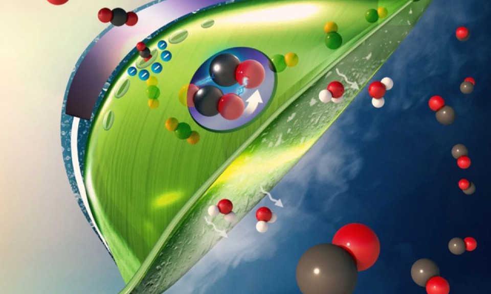 Lá nhân tạo hút khí CO2 của Mỹ: tiêu thụ điện tương đương bóng đèn LED nhưng hiệu quả cao gấp 100 lần thiết bị hiện hành