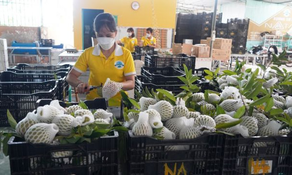 Việt Nam gains strong growth in veg, fruit exports in January