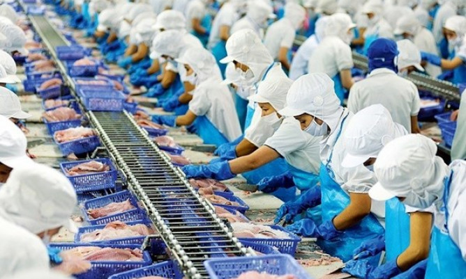 Pangasius exports exceed expectations