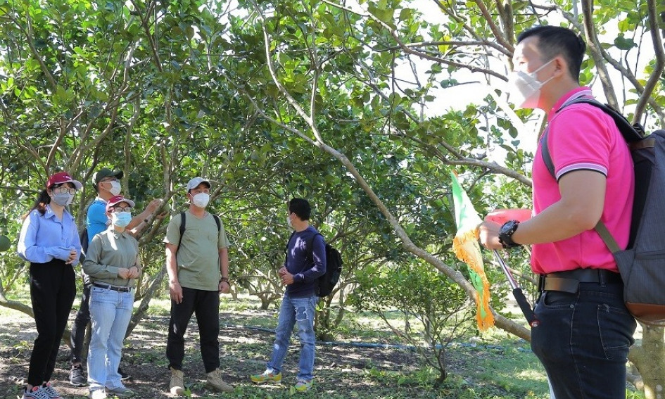 Du lịch dần phục hồi, thích ứng an toàn
