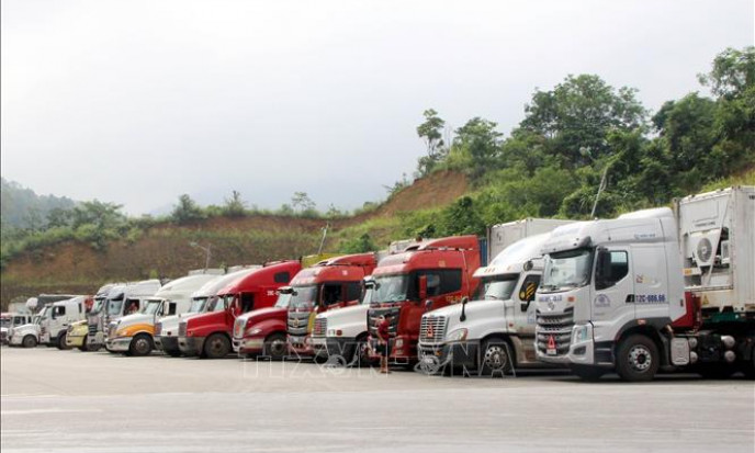 Lạng Sơn tạm dừng tiếp nhận phương tiện chở hoa quả tươi xuất khẩu