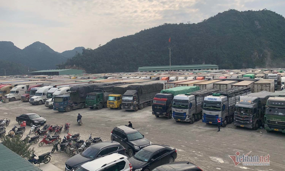 Bản tin vùng Đông Bắc ngày 14/2