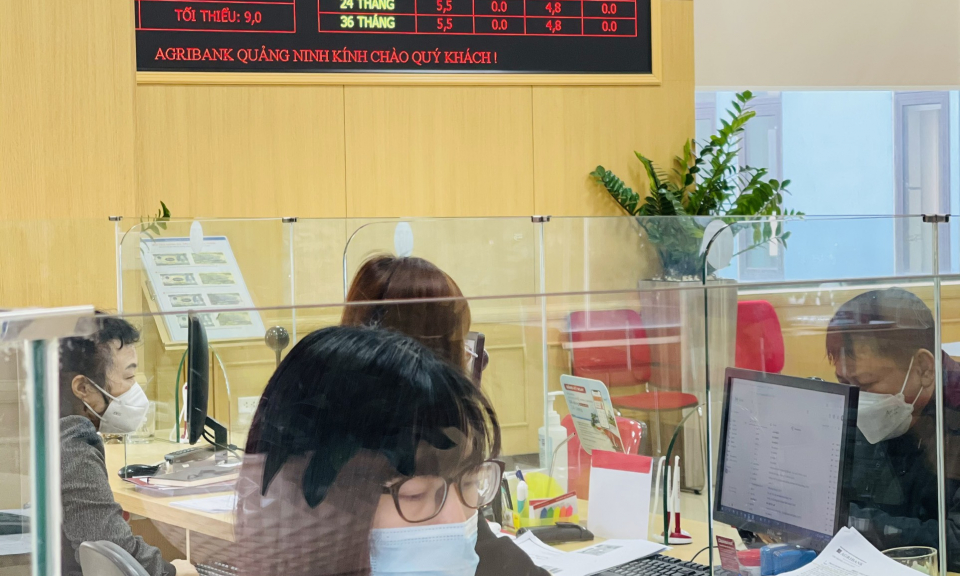Agribank Quảng Ninh chuyên nghiệp, tận tâm