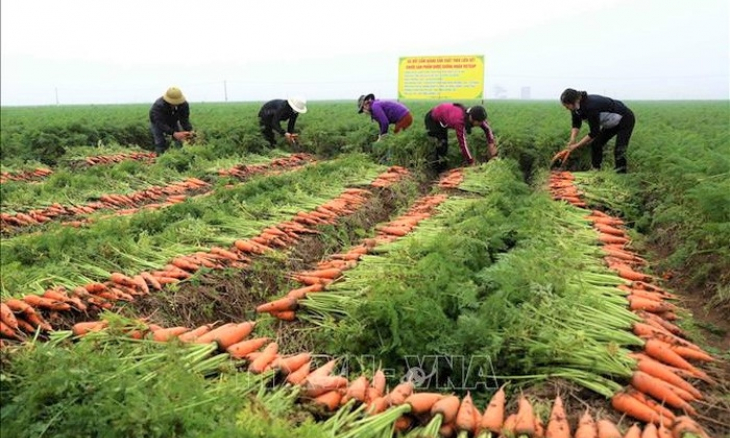 Bản tin vùng Đông Bắc ngày 15/2