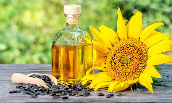  Những loại dầu ăn nào tốt cho sức khỏe?