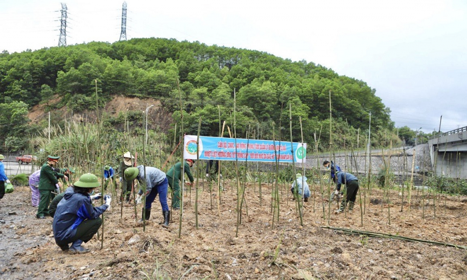 Tổng Công ty Đông Bắc: Nỗ lực để hoàn thành mục tiêu năm 2022