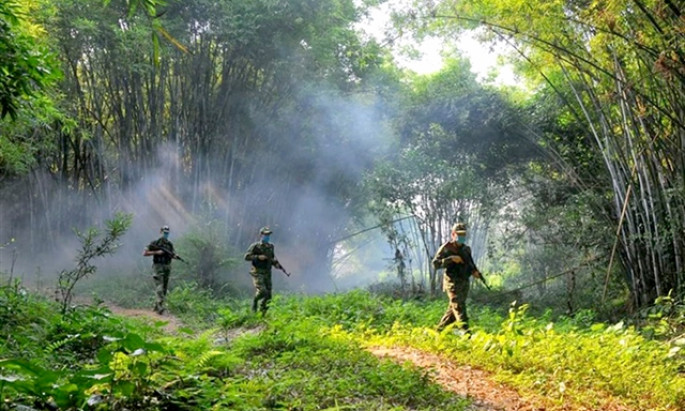 The bamboo border in Quảng Ninh Province