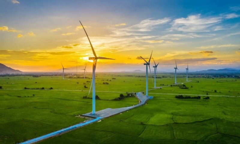 Thư giãn hòa mình với đất trời tại cánh đồng quạt gió thanh bình ở Ninh Thuận