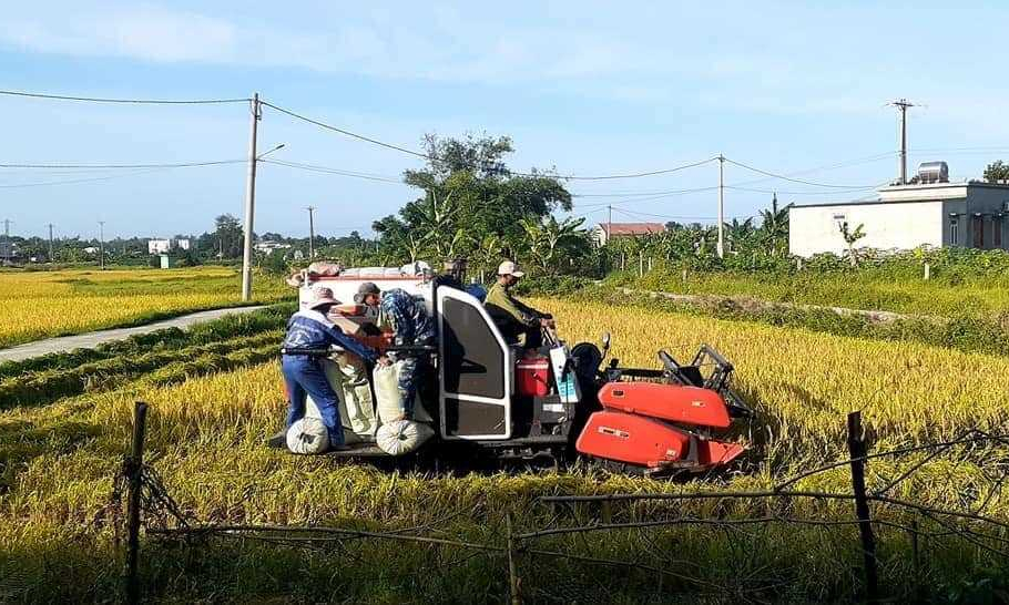 Phát huy vai trò chủ thể của nông dân