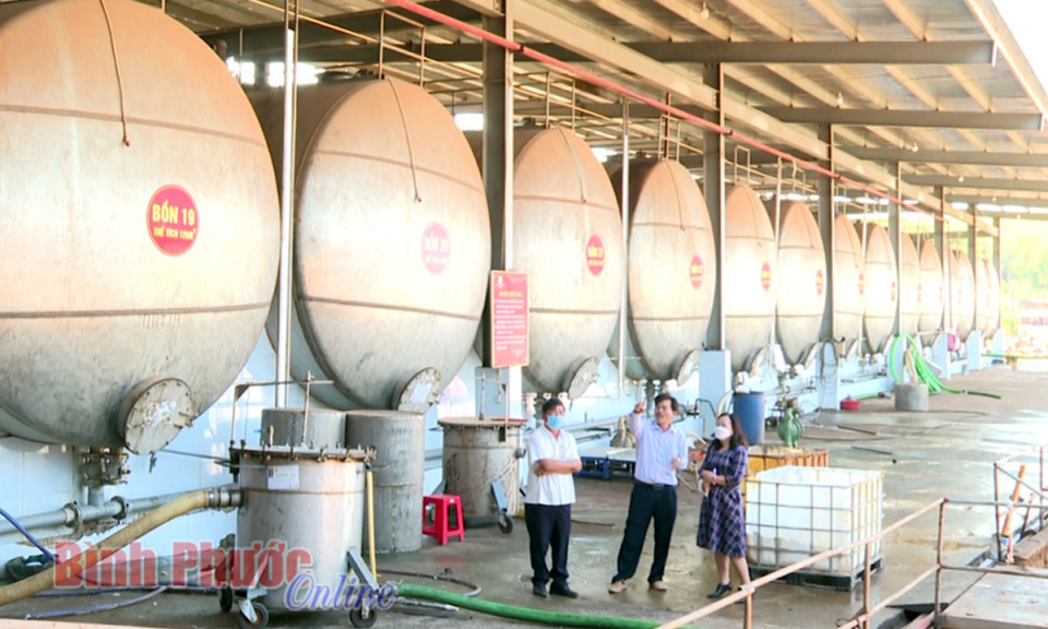 Bài cuối: Chủ động ứng dụng công nghệ vào sản xuất 