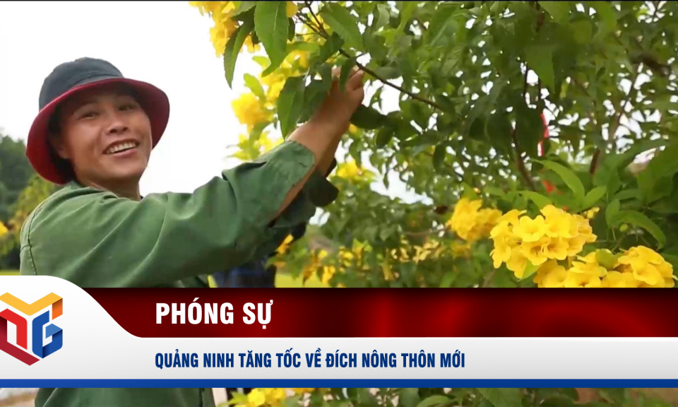 Quảng Ninh tăng tốc về đích nông thôn mới