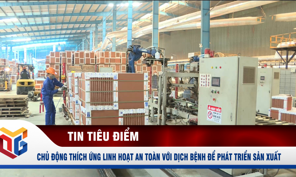 Chủ động thích ứng linh hoạt an toàn với dịch bệnh để phát triển sản xuất