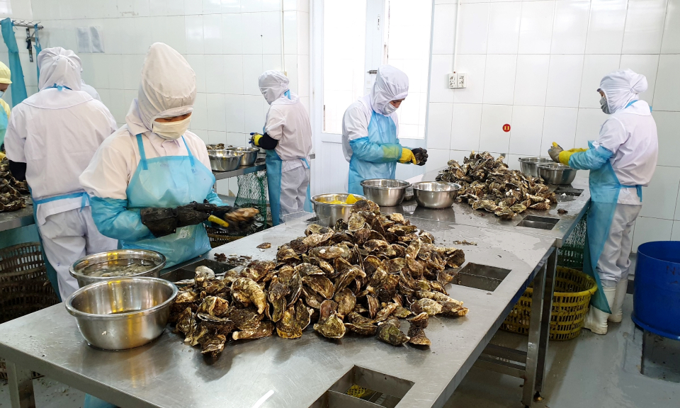 Sản vật từ biển