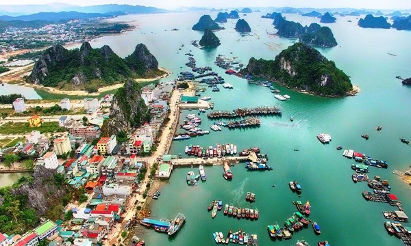 Chuyển đổi linh hoạt, sẵn sàng thích ứng