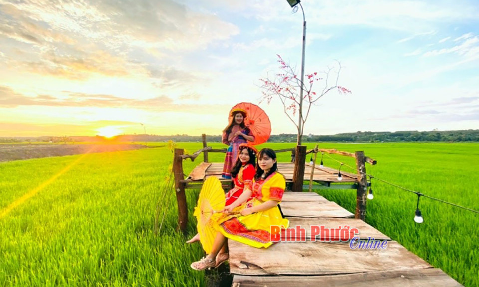 “Chuyển mình” từ nông nghiệp sinh thái