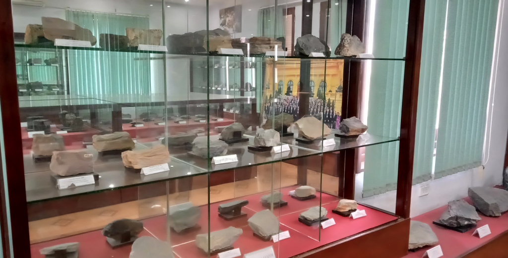 Nhiều mẫu vật quý được trưng bày.