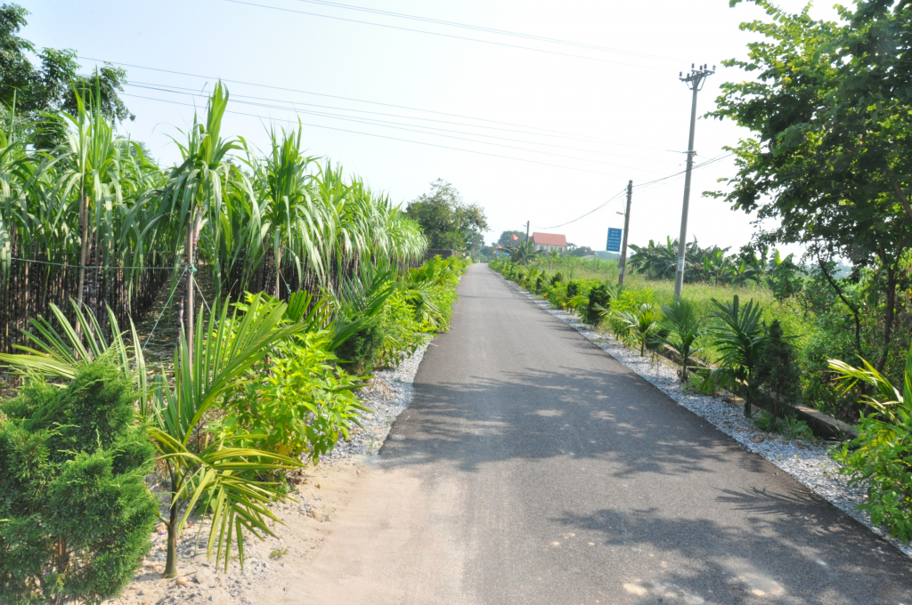 Một tuyến đường nông thôn vào khu dân cư tại xã Quảng Chính, huyện Hải Hà.