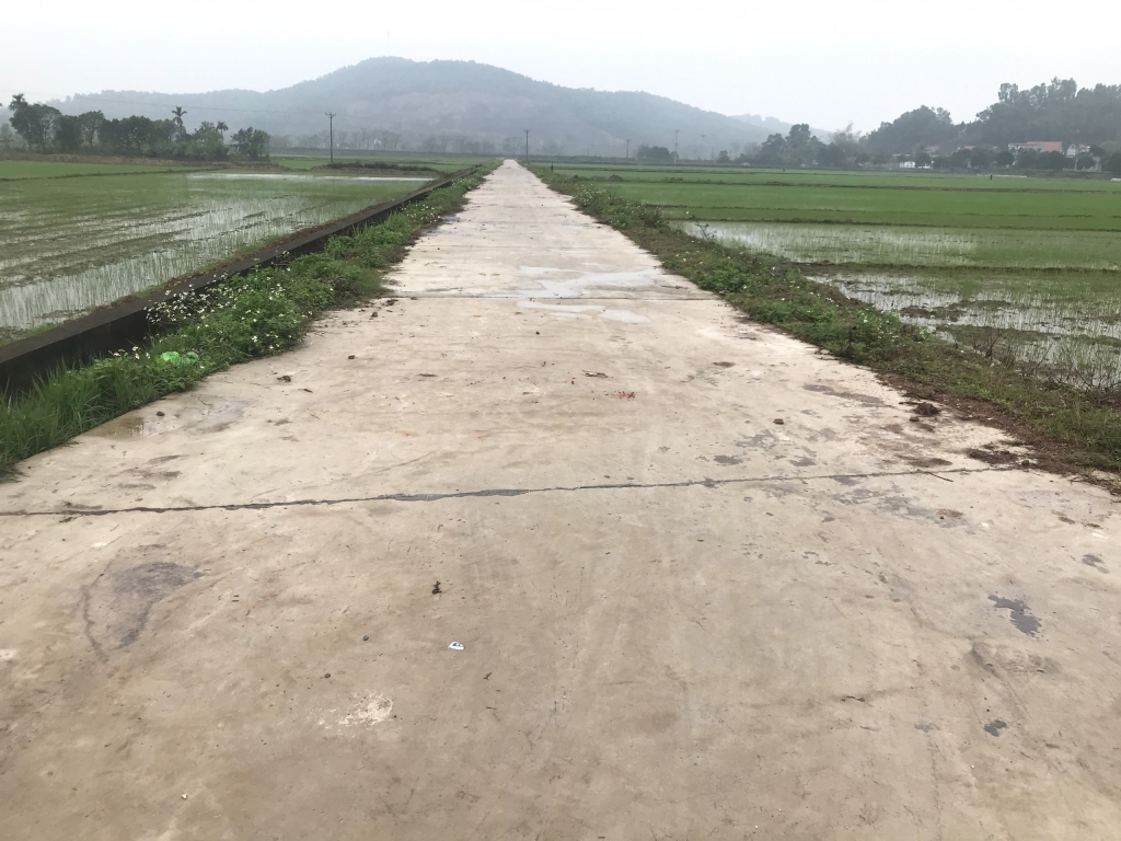 Đường nội đồng xã Nguyễn Huệ được đầu tư rộng rãi.