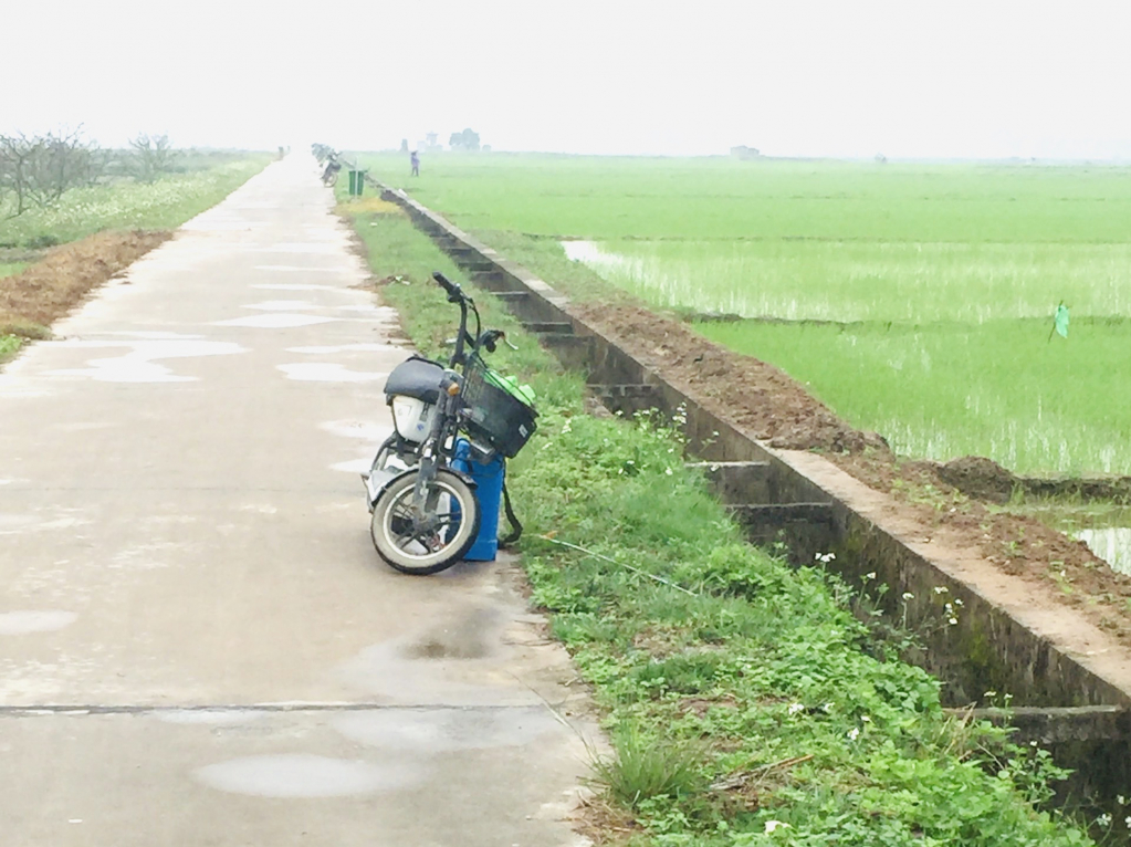 ... và hệ thống kênh mương cho sản xuất nông nghiệp.