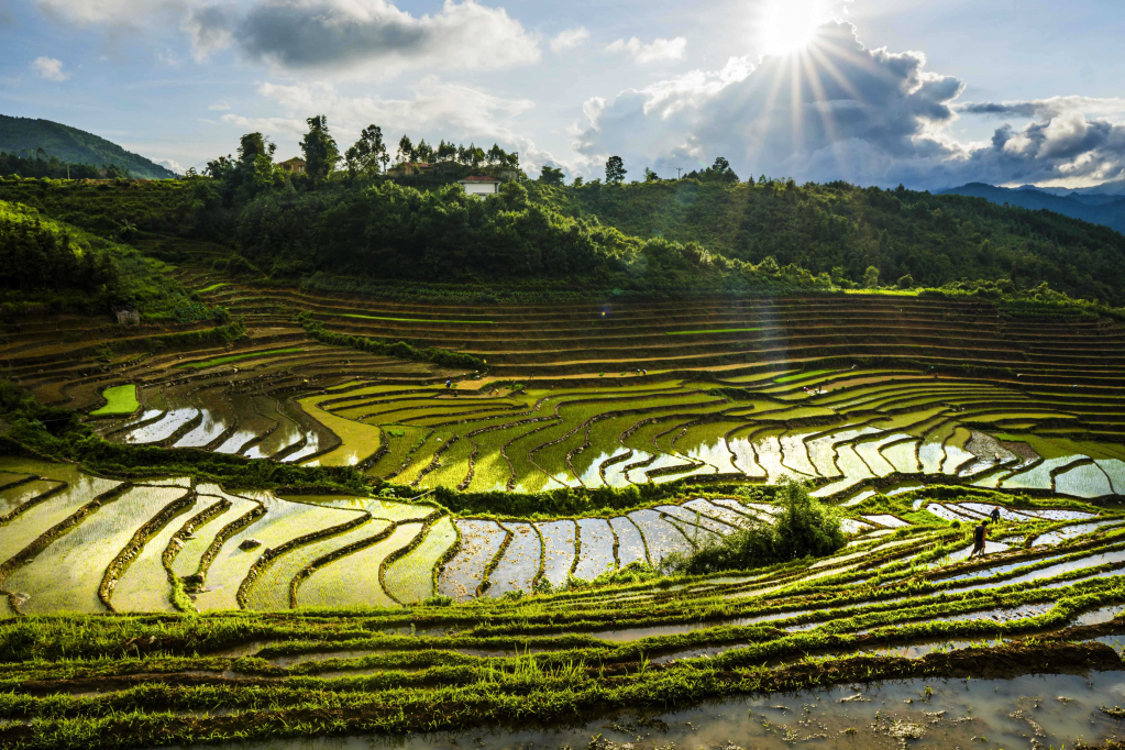 Irrigation season at Luc Hon commune's Cao Thang hamlet