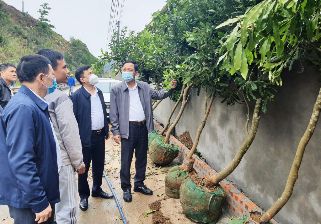 Lãnh đạo TP Uông Bí kiếm tra mô hình trồng cây mắc ca tại phường Vàng Danh.