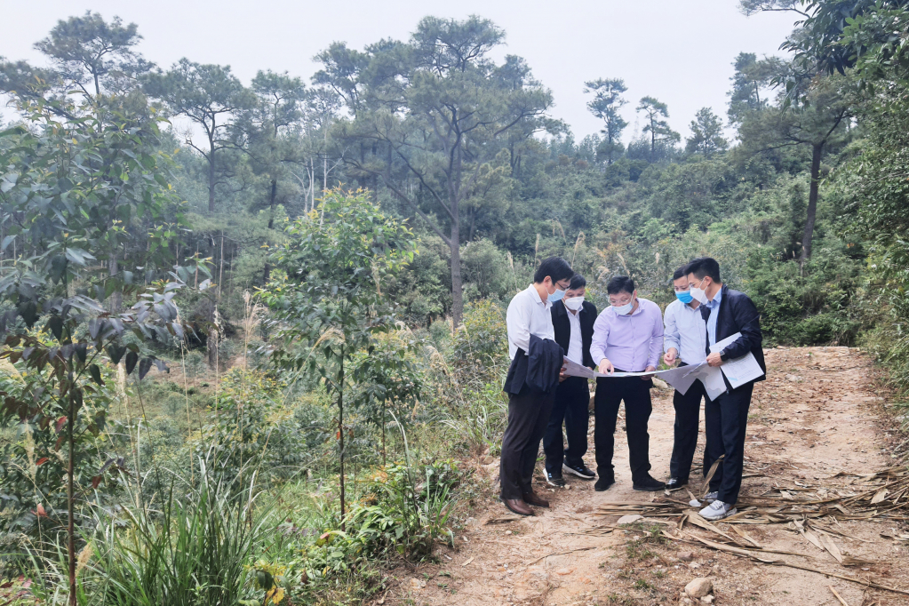 Bí thư Thành ủy Uông Bí Nghiêm Xuân Cường khảo sát thực tế dải rừng sau hồ Yên Trung.