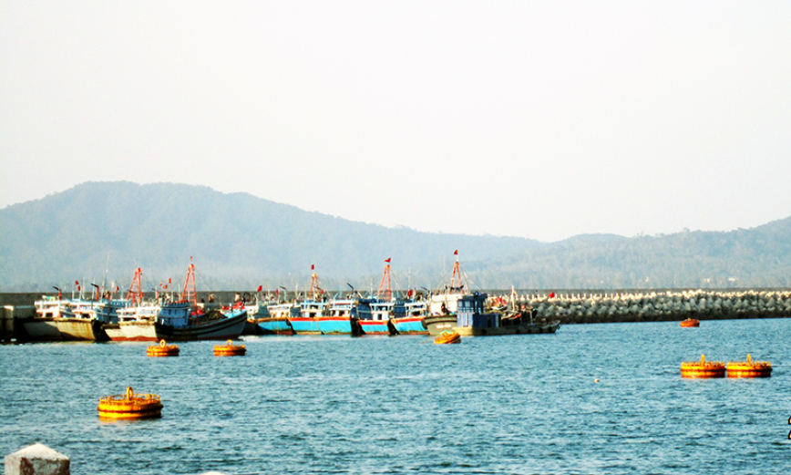 Striving to make Co To a national eco-tourism site 