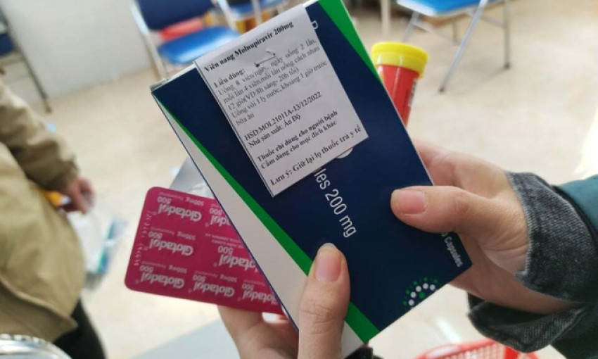 Đề xuất hai phương án phân phối molnupiravir