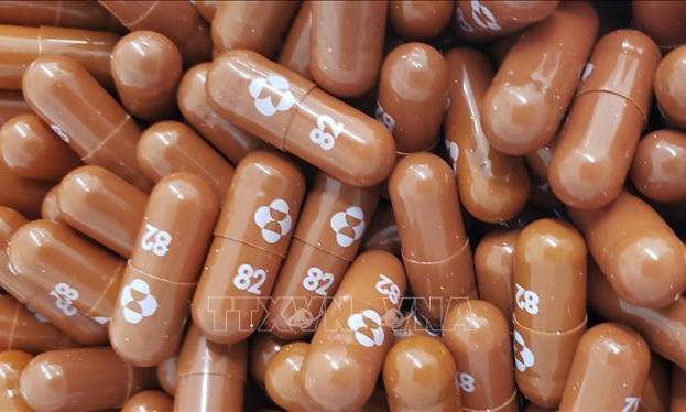 WHO khuyến nghị về việc sử dụng thuốc Molnupiravir chống COVID-19